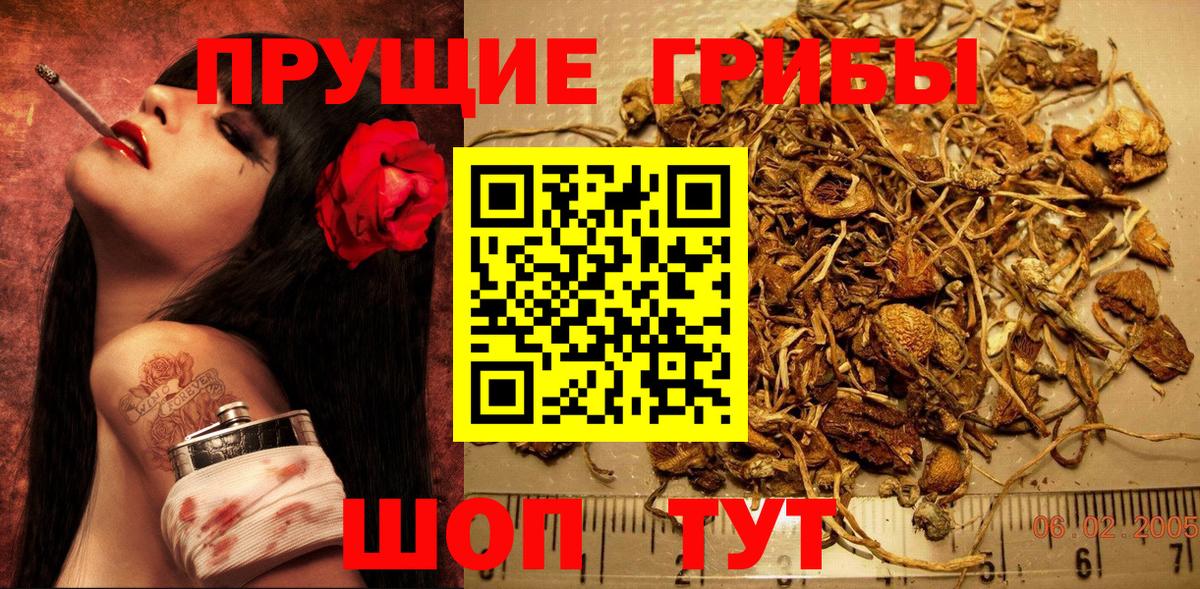 Галлюциногенные грибы Magic Shrooms  Вход с VPN  Псилоцибиновые грибы Cubensis  Иваново 